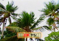 a0043520_3172755.jpg