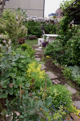 f0170524_2284241.jpg