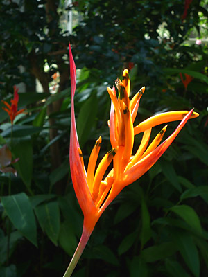 d0023725_22521552.jpg