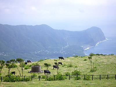 d0023725_22523582.jpg