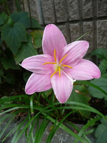 面白い方と知り合いました_a0050728_17424189.jpg