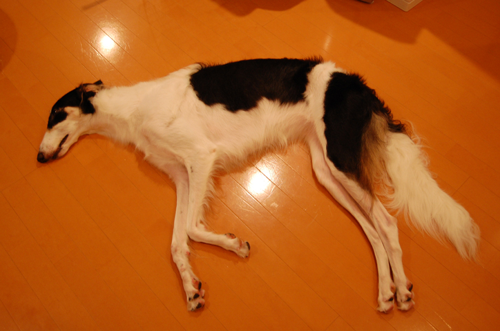 はぐろぐ はぐろぐ