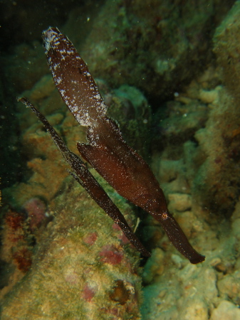 b0100730_23234710.jpg