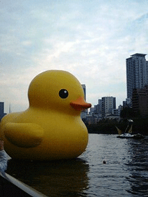 d0048332_16311294.gif
