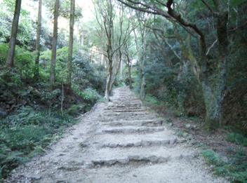 雑記＿山寺へセミの声を聴きに行きました_a0038933_22281487.jpg