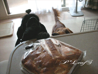 c0176651_2211385.gif
