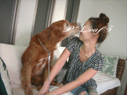 c0176651_2214143.gif
