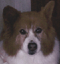 d0138852_19192448.gif