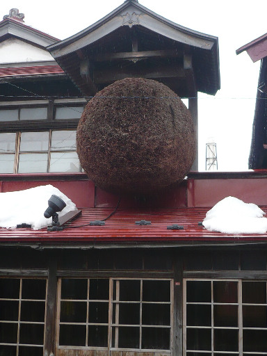 新酒の目印 《杉玉》_f0193752_33362.jpg