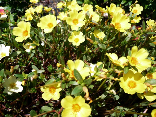 c0043055_1425841.jpg