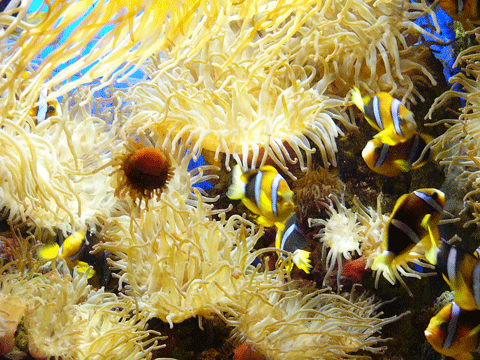 f0209058_238742.gif