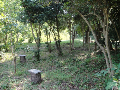 c0108460_1361811.jpg