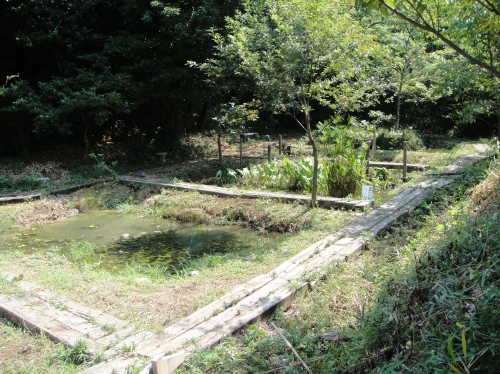 c0108460_1371224.jpg