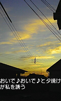 先日の夕日と勿体ない精神と_e0136066_23334117.jpg
