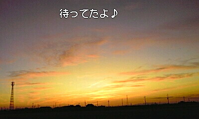 先日の夕日と勿体ない精神と_e0136066_2333417.jpg