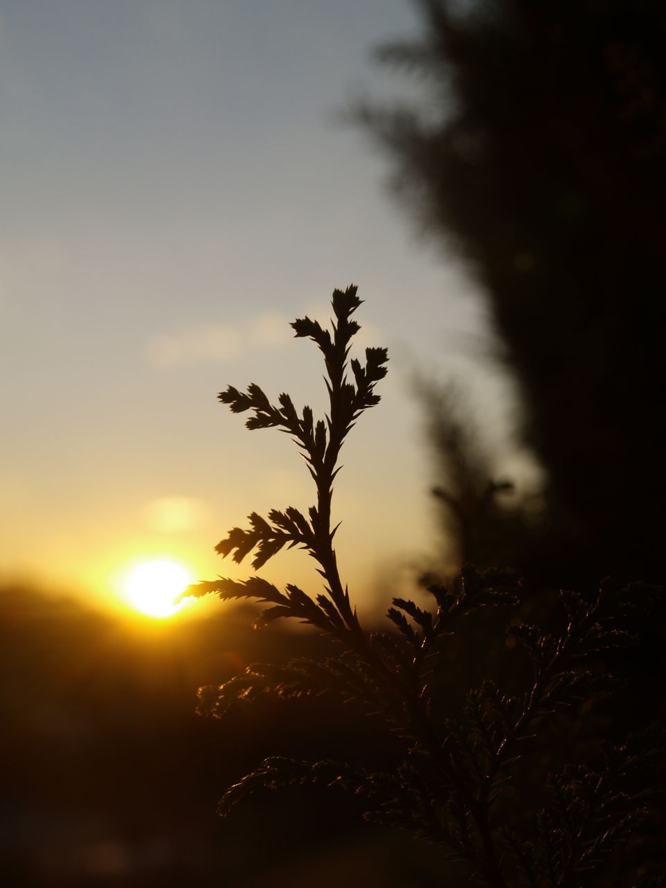 b0138768_17385656.jpg