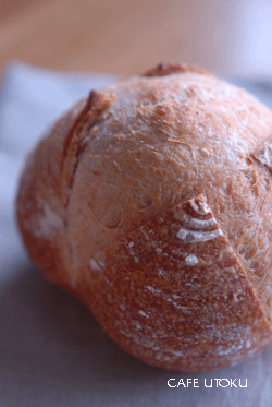 CAFE UTOKU_b0173176_1925564.gif