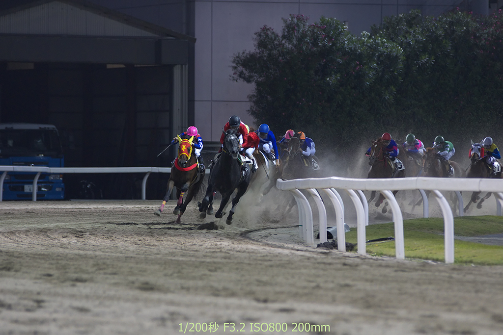 川崎競馬 4_f0085878_324240.jpg