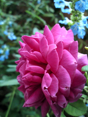 e0154682_22101589.jpg