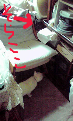 c0206596_13371036.jpg
