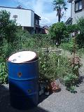 e0106098_2338934.jpg