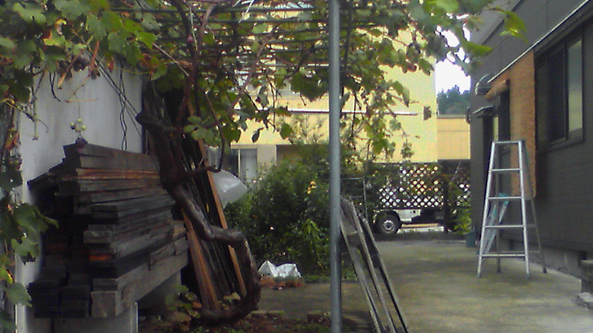 b0143100_0114139.jpg