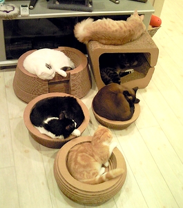c0181601_10997.jpg