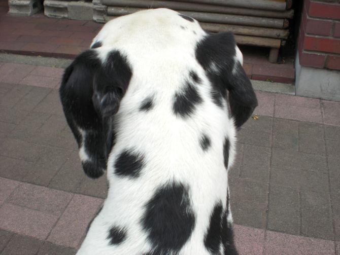 e0163202_19542816.jpg