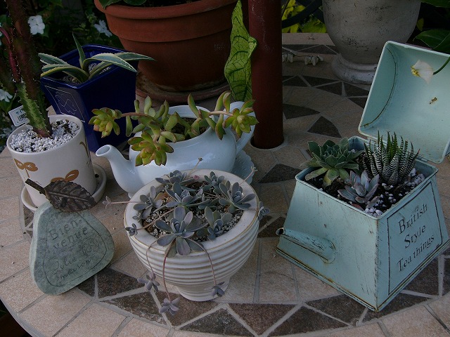 a0123003_217278.jpg