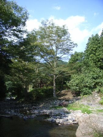 蕗のとう通信31 2009年9月17日(木)_b0129807_20555318.jpg