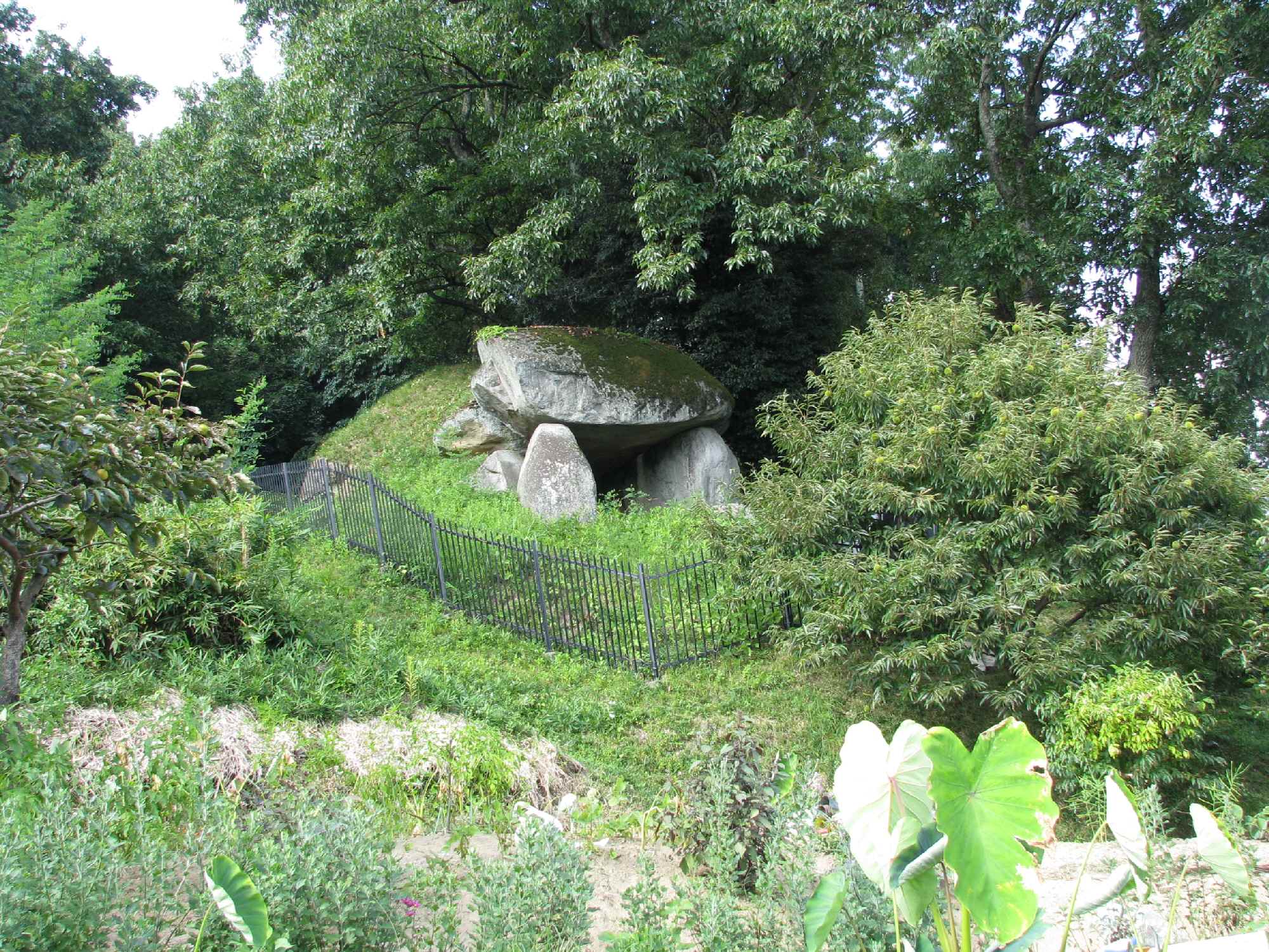 e0080110_2344404.jpg