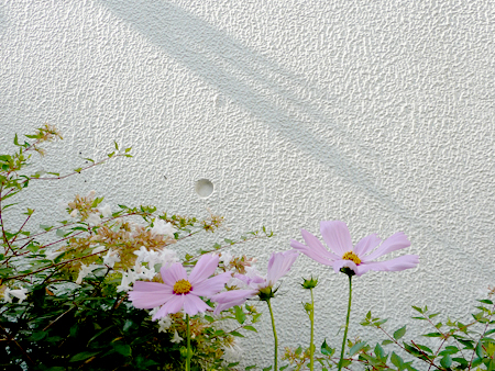 d0113613_15562048.jpg