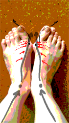 c0023016_0321183.gif