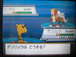 ポケットモンスター ハートゴールド ソウルシルバー つきねこの日記 ポケットモンスター ハートゴールド ソウルシルバー つきねこの日記