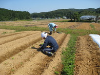 金沢から男性の方がワークステイに来られました(3日目)_e0061225_11225377.jpg