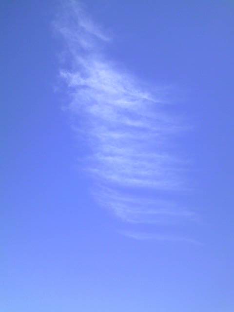 a0125343_19454950.jpg