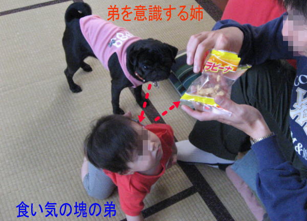 e0040544_15281961.jpg