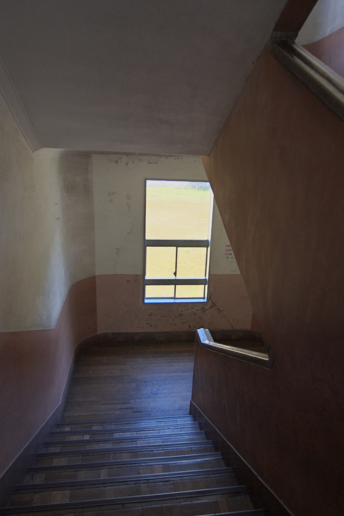 d0001745_1127024.jpg
