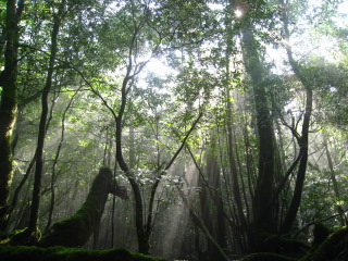 b0160957_1036075.jpg