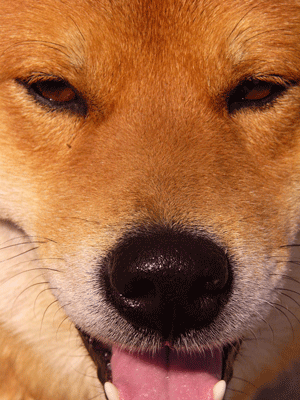 f0209058_2183451.gif