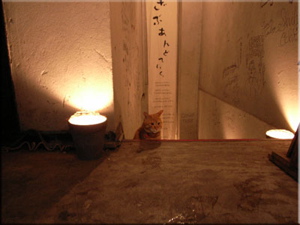 20080601 - 20080630 御神本展 \"みかもと\"と読む。_c0140560_1720047.jpg