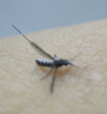 e0189265_2234677.jpg