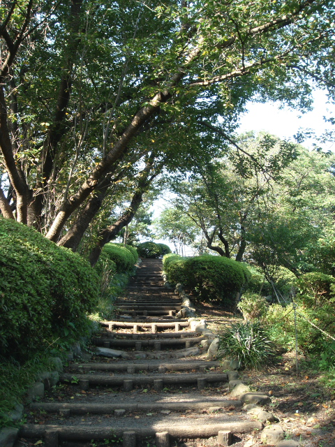 c0006767_85980.jpg