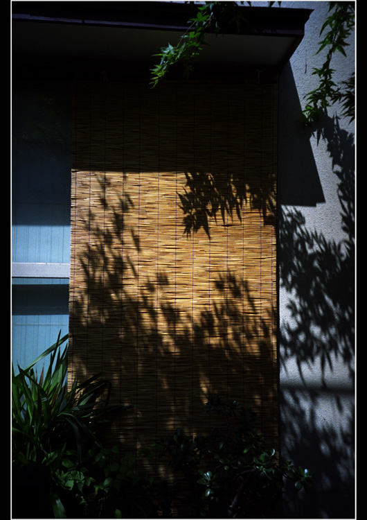 c0168172_1762247.jpg