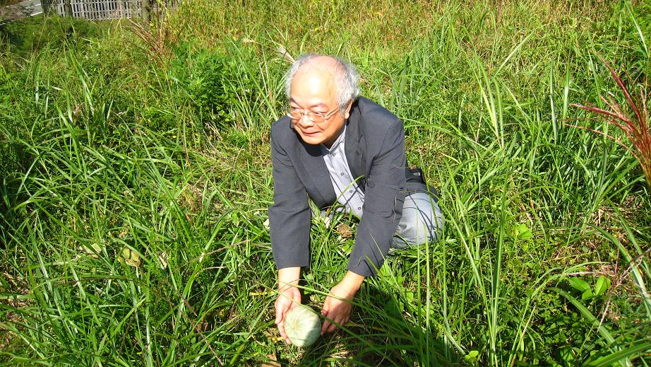 秋田の西方里見さんの西方設計オフィス_a0107574_209122.jpg