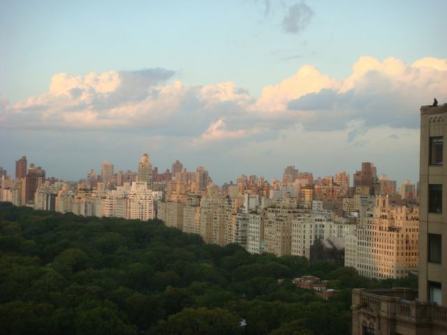 d0100880_533770.jpg