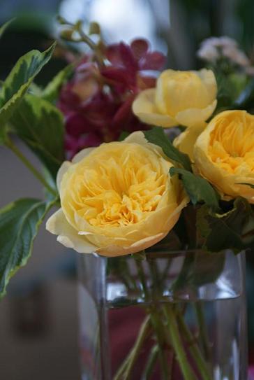 お花の話。_f0202682_1230715.jpg