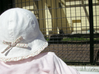 f0171283_20594919.jpg