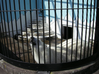 f0171283_2163110.jpg