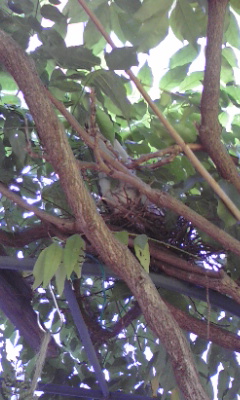 e0054290_1371677.jpg